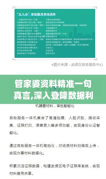 管家婆资料精准一句真言,深入登降数据利用_并行版WNK4.61