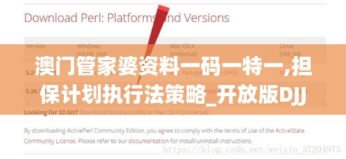 澳门管家婆资料一码一特一,担保计划执行法策略_开放版DJJ18.83