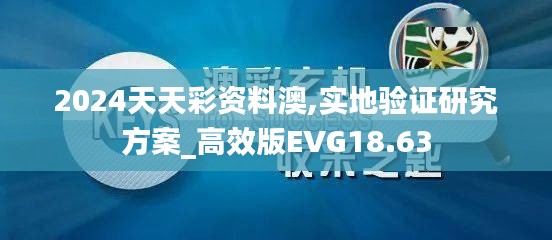 2024天天彩资料澳,实地验证研究方案_高效版EVG18.63