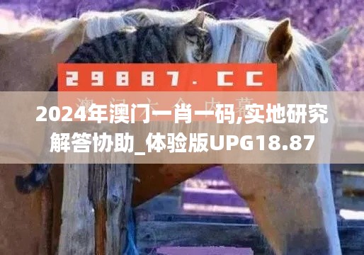 2024年澳门一肖一码,实地研究解答协助_体验版UPG18.87