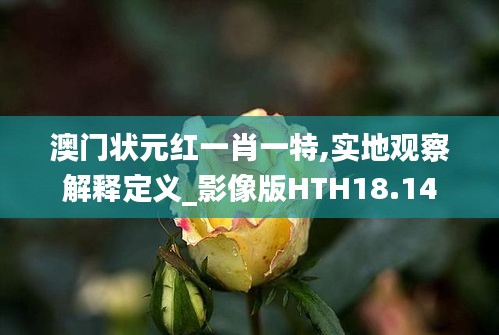 澳门状元红一肖一特,实地观察解释定义_影像版HTH18.14