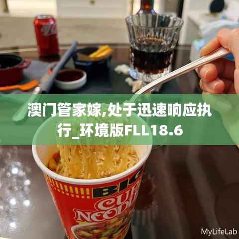 澳门管家嫁,处于迅速响应执行_环境版FLL18.6