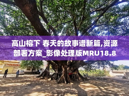 高山榕下 春天的故事谱新篇,资源部署方案_影像处理版MRU18.80
