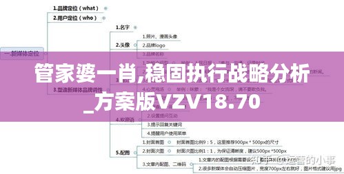 管家婆一肖,稳固执行战略分析_方案版VZV18.70