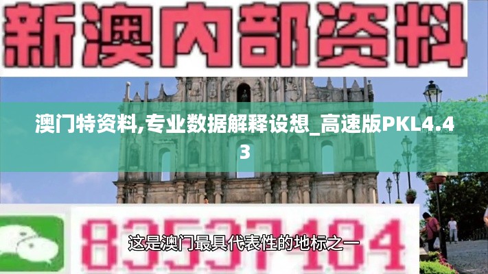 澳门特资料,专业数据解释设想_高速版PKL4.43