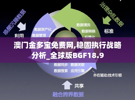 澳门金多宝免费网,稳固执行战略分析_全球版BGF18.9