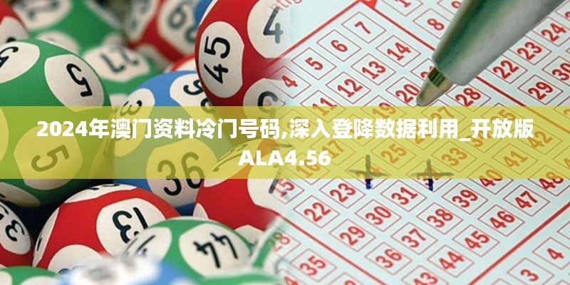 2024年澳门资料冷门号码,深入登降数据利用_开放版ALA4.56