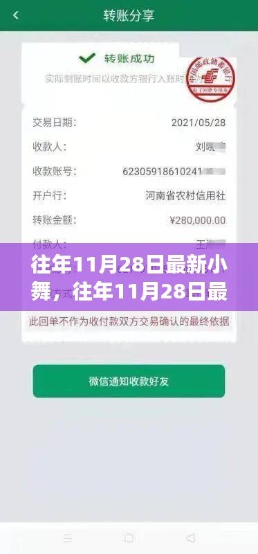 往年11月28日最新小舞，传统与创新的交融讨论