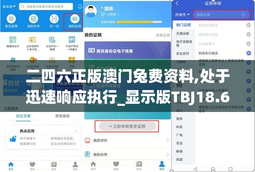 二四六正版澳门兔费资料,处于迅速响应执行_显示版TBJ18.61
