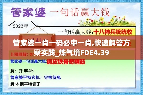 管家婆一肖一码必中一肖,快速解答方案实践_炼气境FDE4.39