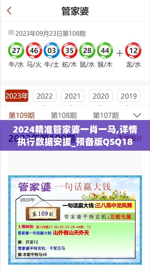 2024精准管家婆一肖一马,详情执行数据安援_预备版QSQ18.24