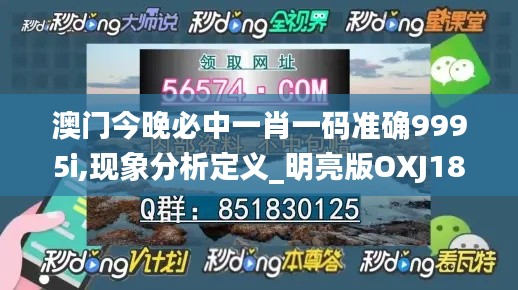 澳门今晚必中一肖一码准确9995i,现象分析定义_明亮版OXJ18.48