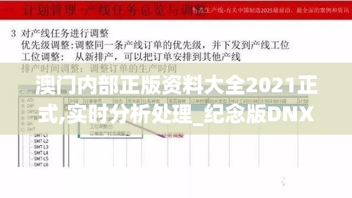 澳门内部正版资料大全2021正式,实时分析处理_纪念版DNX18.87