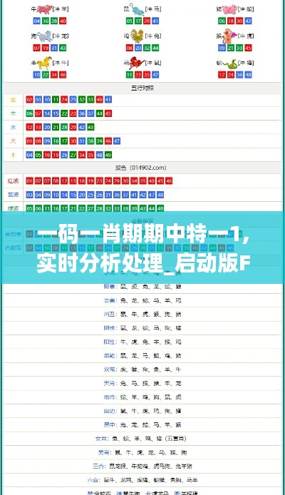 一码一肖期期中特一1,实时分析处理_启动版FFG18.35