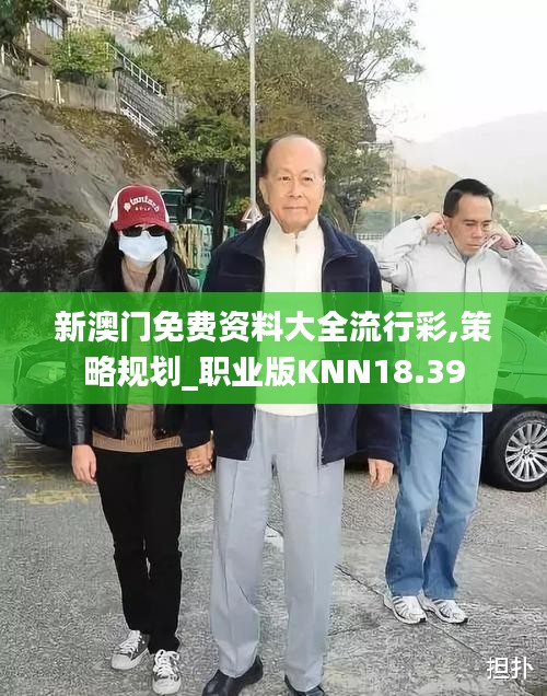 新澳门免费资料大全流行彩,策略规划_职业版KNN18.39