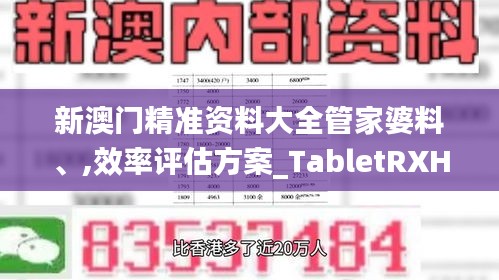 新澳门精准资料大全管家婆料、,效率评估方案_TabletRXH4.44