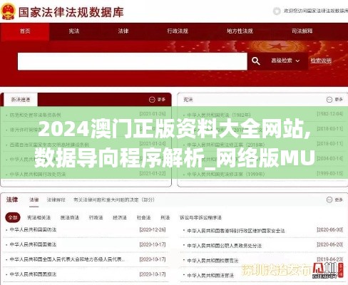 2024澳门正版资料大全网站,数据导向程序解析_网络版MUP18.72