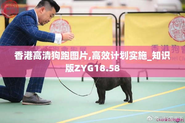 香港高清狗跑图片,高效计划实施_知识版ZYG18.58