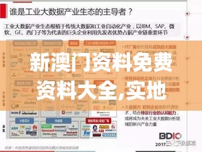 新澳门资料免费资料大全,实地数据评估分析_游戏版EGS4.13