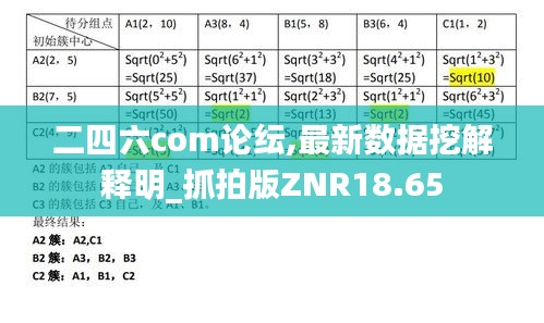 二四六com论纭,最新数据挖解释明_抓拍版ZNR18.65
