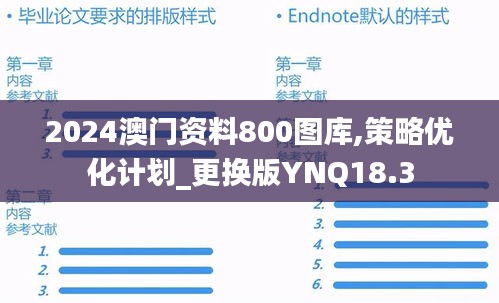2024澳门资料800图库,策略优化计划_更换版YNQ18.3