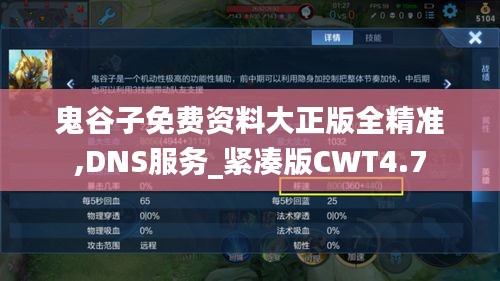 鬼谷子免费资料大正版全精准,DNS服务_紧凑版CWT4.7