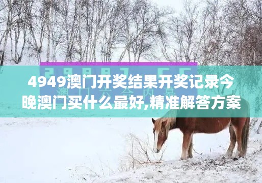 4949澳门开奖结果开奖记录今晚澳门买什么最好,精准解答方案详解_赛博版NCS4.11