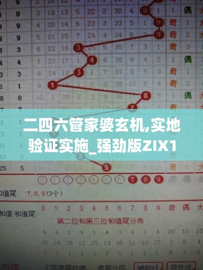 二四六管家婆玄机,实地验证实施_强劲版ZIX18.62