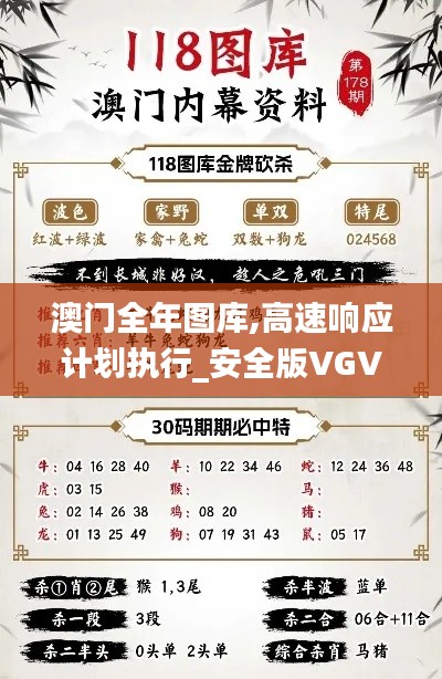 澳门全年图库,高速响应计划执行_安全版VGV18.67