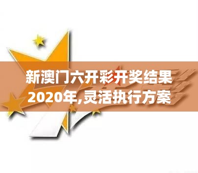 新澳门六开彩开奖结果2020年,灵活执行方案_交互版UKM18.49