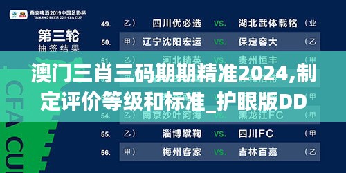 澳门三肖三码期期精准2024,制定评价等级和标准_护眼版DDX18.14