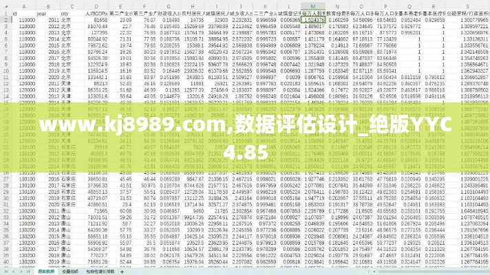 www.kj8989.com,数据评估设计_绝版YYC4.85