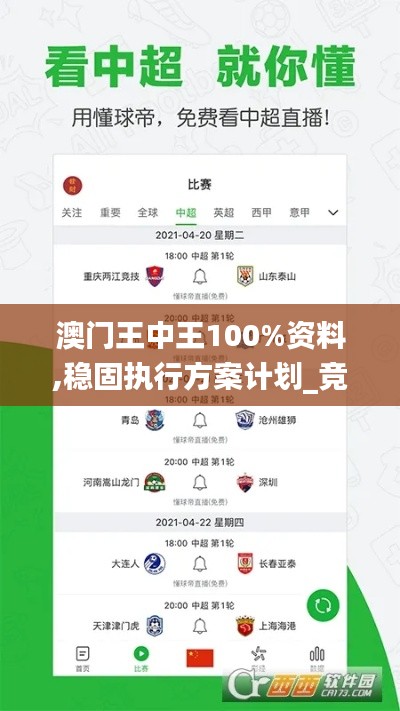 澳门王中王100%资料,稳固执行方案计划_竞技版LGH4.52