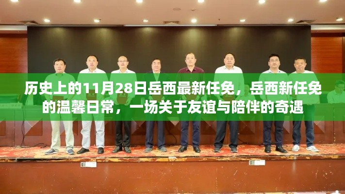 岳西新任命的温馨日常，友谊与陪伴的奇遇之旅