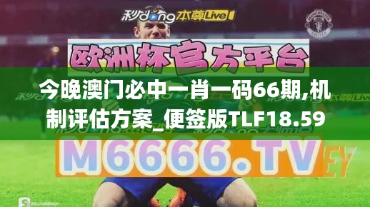 今晚澳门必中一肖一码66期,机制评估方案_便签版TLF18.59
