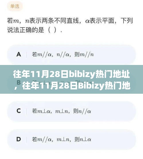 往年11月28日Bibizy热门地址变迁背后的价值与影响透视