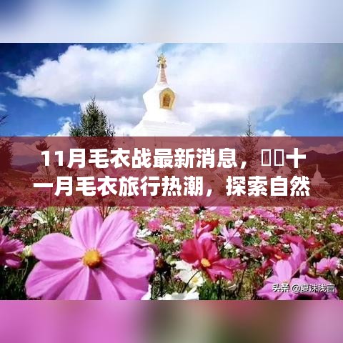十一月毛衣旅行热潮，探索自然美景，心灵之旅启幕