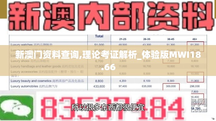 新澳门资料查询,理论考证解析_体验版MWI18.66