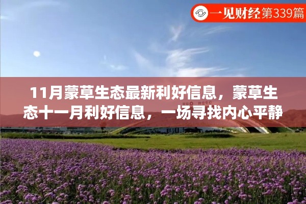 蒙草生态十一月利好信息揭秘，绿色之旅寻找内心平静之旅