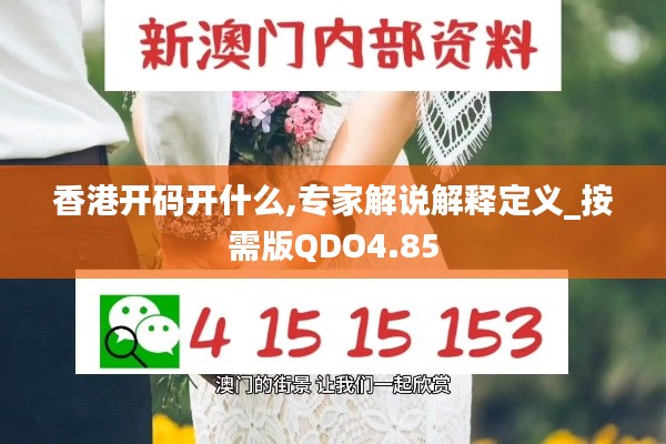 香港开码开什么,专家解说解释定义_按需版QDO4.85