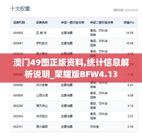 澳门49图正版资料,统计信息解析说明_荣耀版BFW4.13