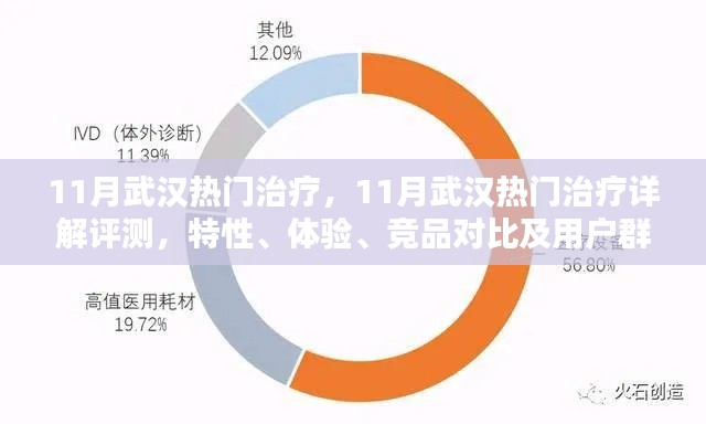 武汉热门治疗全解析，特性、体验、竞品对比及用户群体深度分析