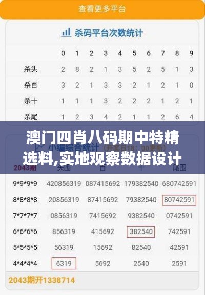 澳门四肖八码期中特精选料,实地观察数据设计_服务器版BBT18.65