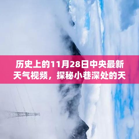 揭秘历史上的风云变幻，中央最新天气视频回顾十一月二十八日的小巷深处记忆馆