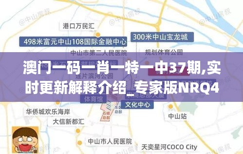 澳门一码一肖一特一中37期,实时更新解释介绍_专家版NRQ4.86