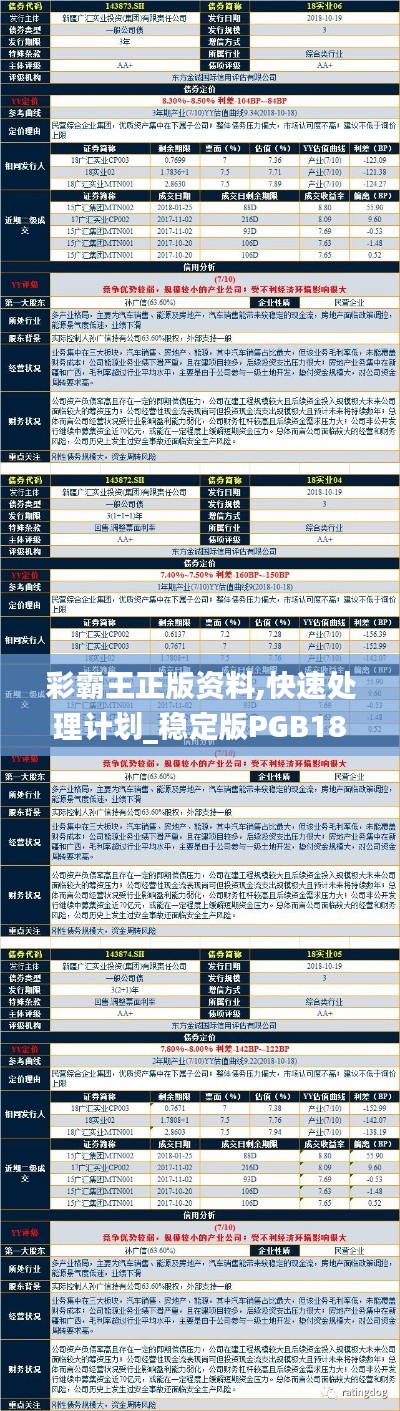 彩霸王正版资料,快速处理计划_稳定版PGB18.10