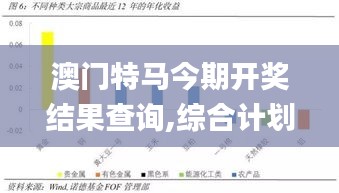 澳门特马今期开奖结果查询,综合计划评估_共鸣版HES4.63