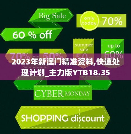 2023年新澳门精准资料,快速处理计划_主力版YTB18.35