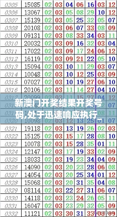 龙飞九五 第3页