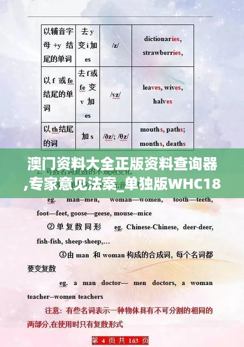 澳门资料大全正版资料查询器,专家意见法案_单独版WHC18.73